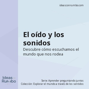 El oído y los sonidos