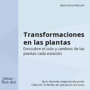 Transformaciones en las plantas