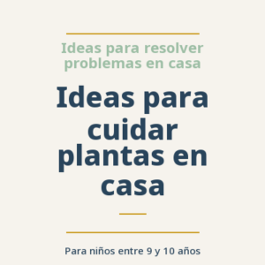 Ideas para cuidar plantas en casa